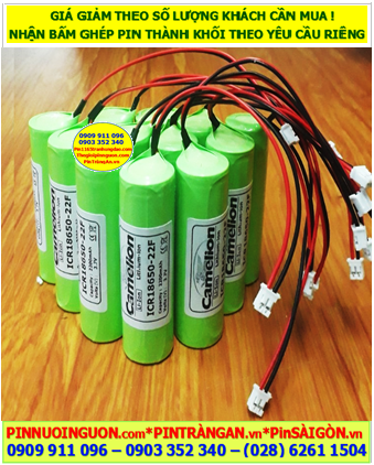 Pin đèn Exit 3.7v-2200mAh, Pin đèn Sự cố khẩn cấp 3.7v-2200mAh, Pin sạc chính hãng Camelion ICR18650-22F 